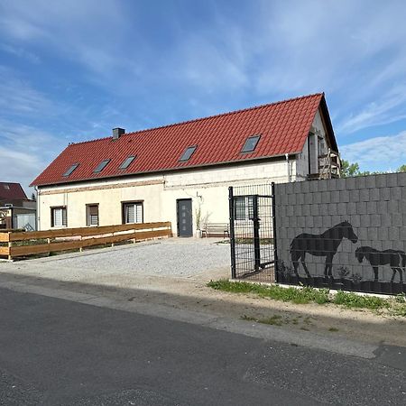 W Diamonds Ranch Appartement Grossraeschen Buitenkant foto